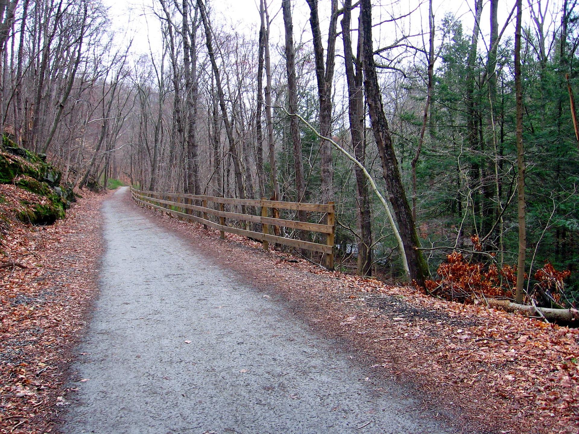 Nehantic State Forest